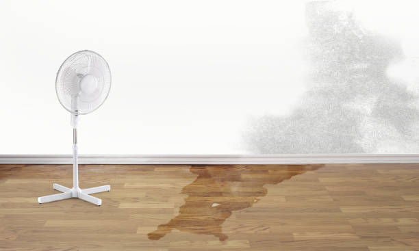  Glen Head, NY Water damage restoration Pros