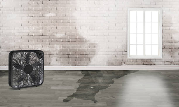 Best Ceiling water damage repair  in Glen Head, NY