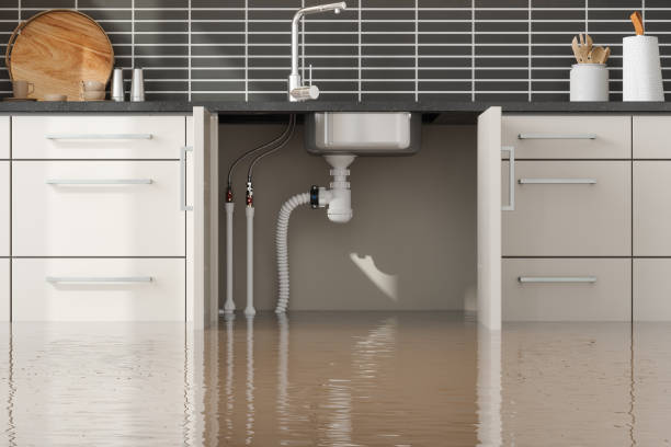Best Flood restoration services  in Glen Head, NY