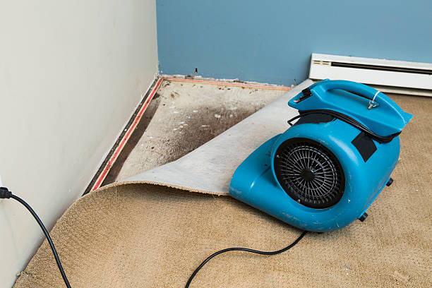 Best Basement water damage restoration  in Glen Head, NY